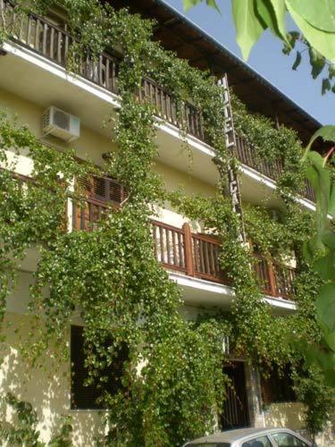 Hotel Figalia بلاك كالا المظهر الخارجي الصورة