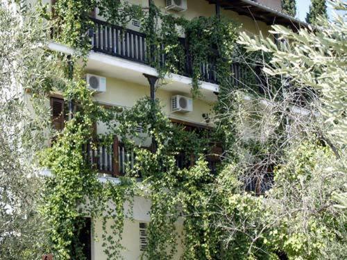 Hotel Figalia بلاك كالا المظهر الخارجي الصورة