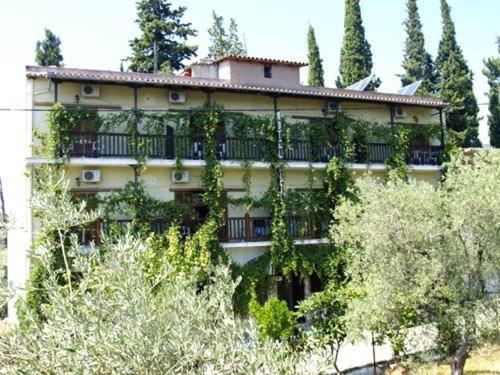 Hotel Figalia بلاك كالا المظهر الخارجي الصورة